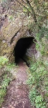 Plants: image 66 Of 208 Thumb